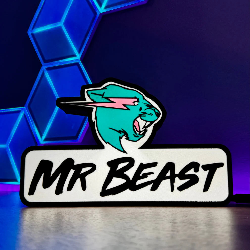 MR BEAST - 3D Printed Light Box