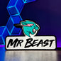 MR BEAST - 3D Printed Light Box